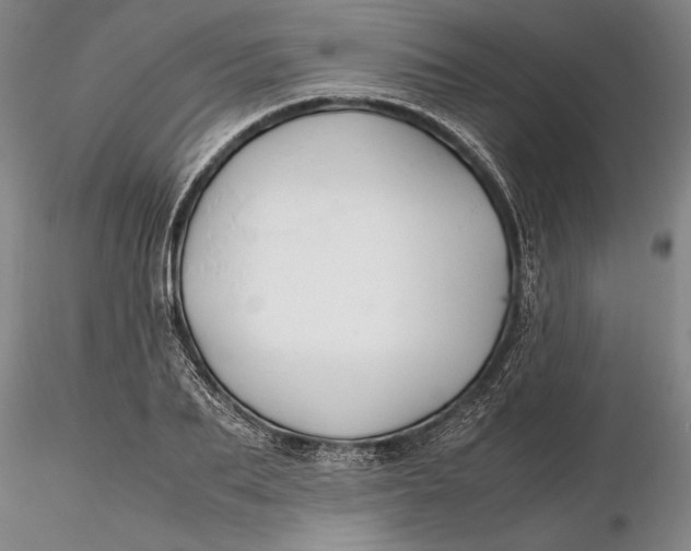 X0000116260887200912211734