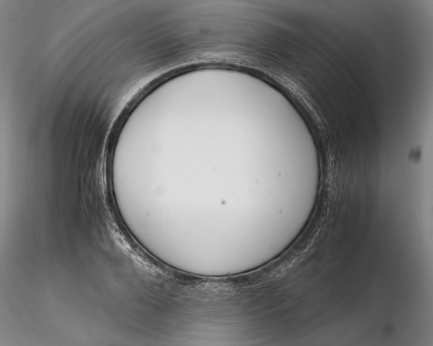 X0000116260888200912211734