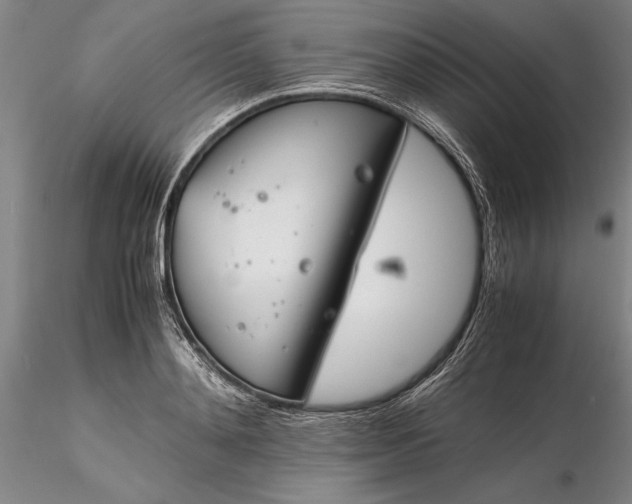 X0000116260892200912211734