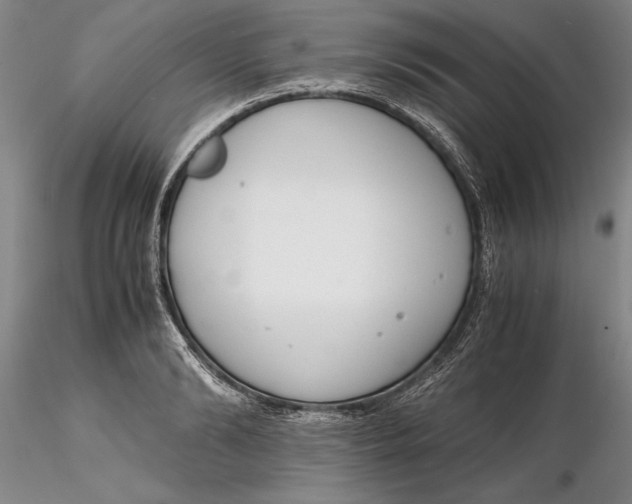 X0000116260894200912211734