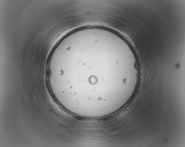 X0000116260895200912211734