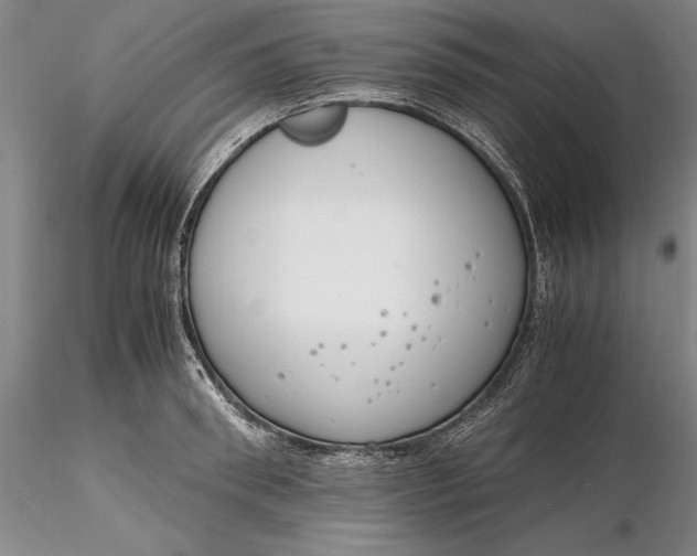 X0000116260898200912211734