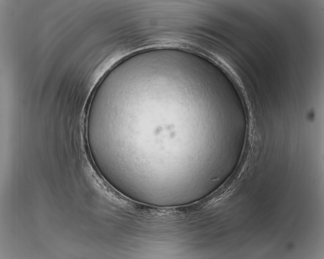 X0000116260899200912211734