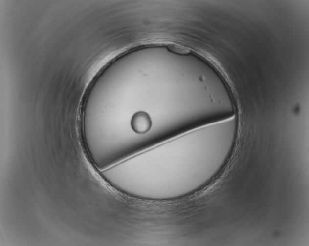 X0000116260901200912211734