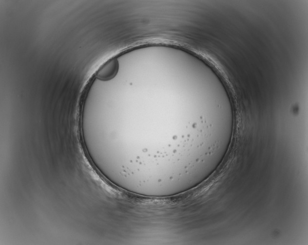 X0000116260902200912211734
