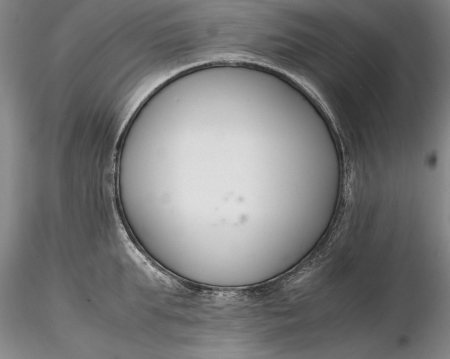X0000116260903200912211734