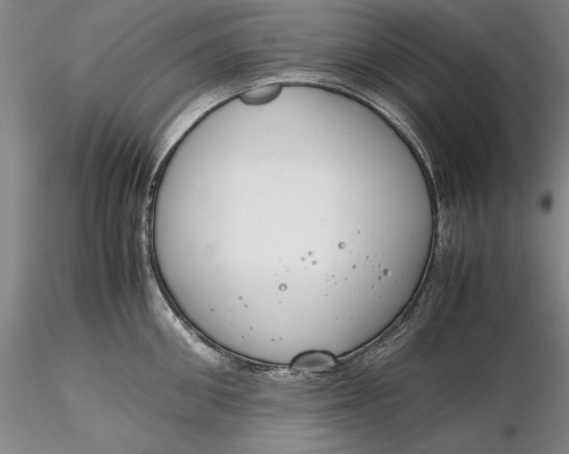 X0000116260906200912211734