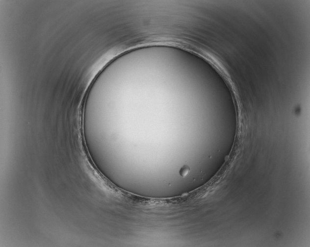 X0000116260907200912211734