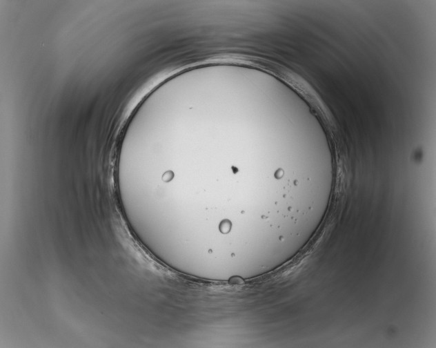 X0000116260908200912211734