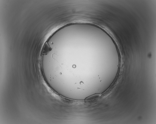 X0000116260909200912211734
