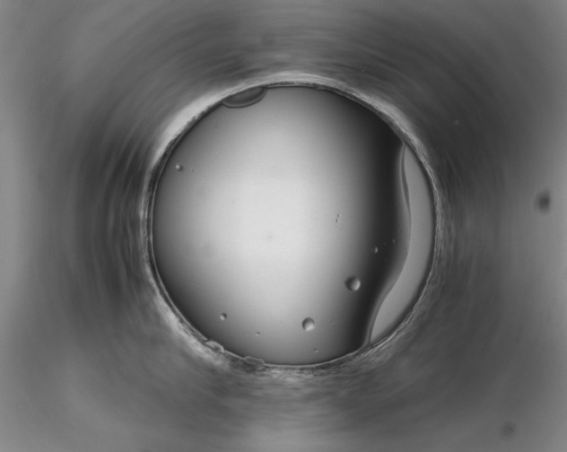 X0000116260910200912211734