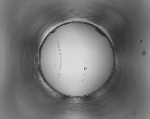 X0000116260911200912211734