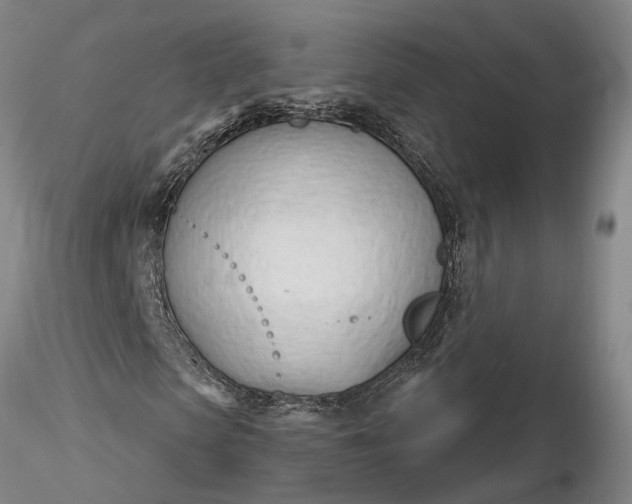 X0000116260913200912211733