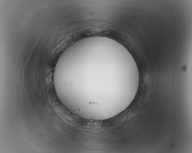 X0000116260914200912211733