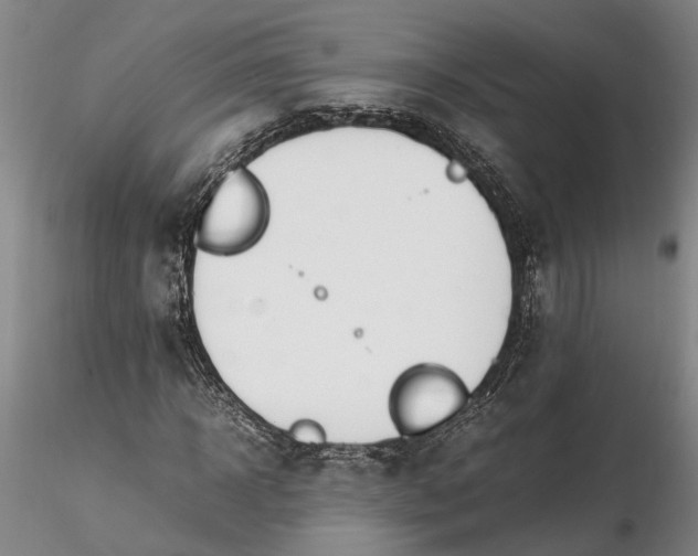 X0000116260918200912211733