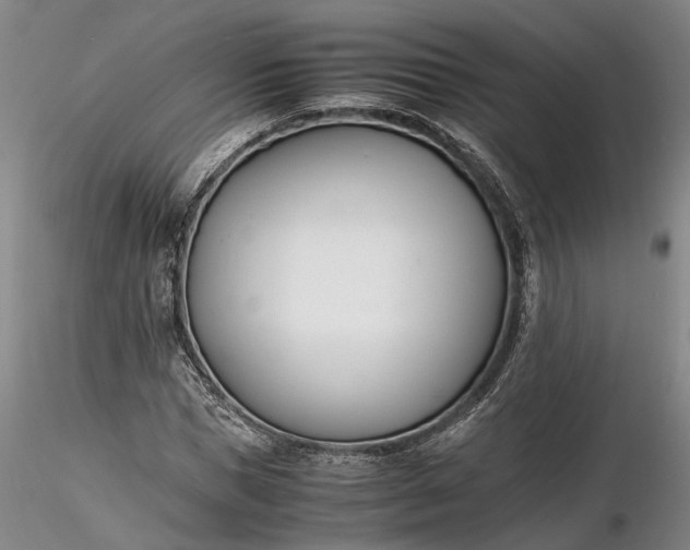 X0000116260921200912211733