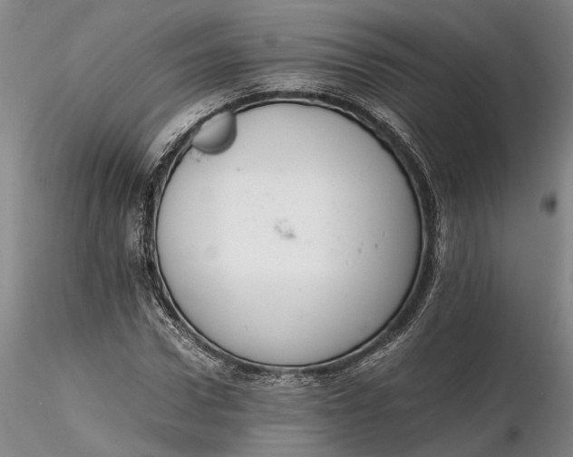 X0000116260922200912211733