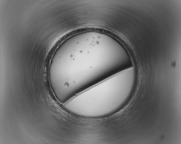 X0000116260926200912211733
