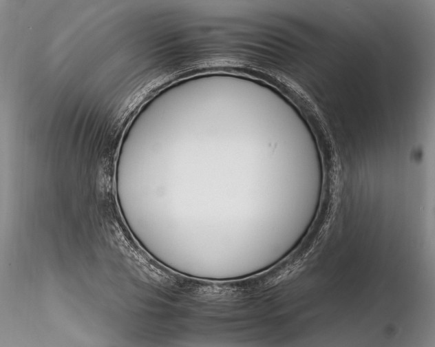 X0000116260929200912211733