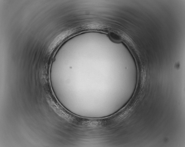 X0000116260930200912211733