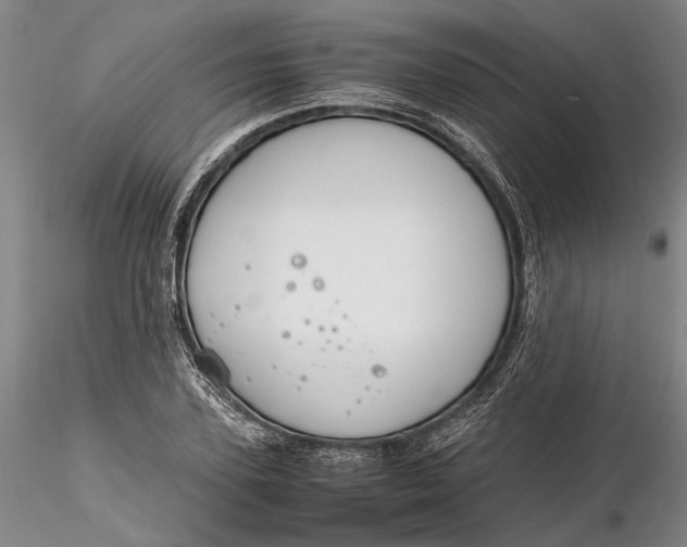 X0000116260931200912211733
