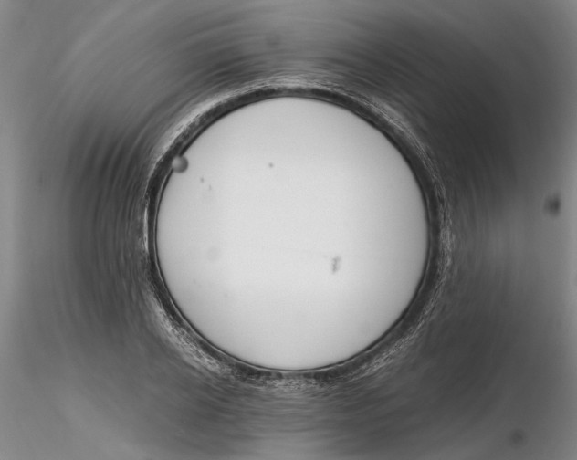 X0000116260934200912211733