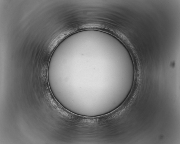X0000116260937200912211733