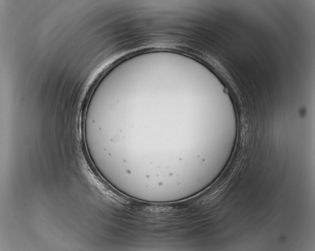 X0000116260939200912211733
