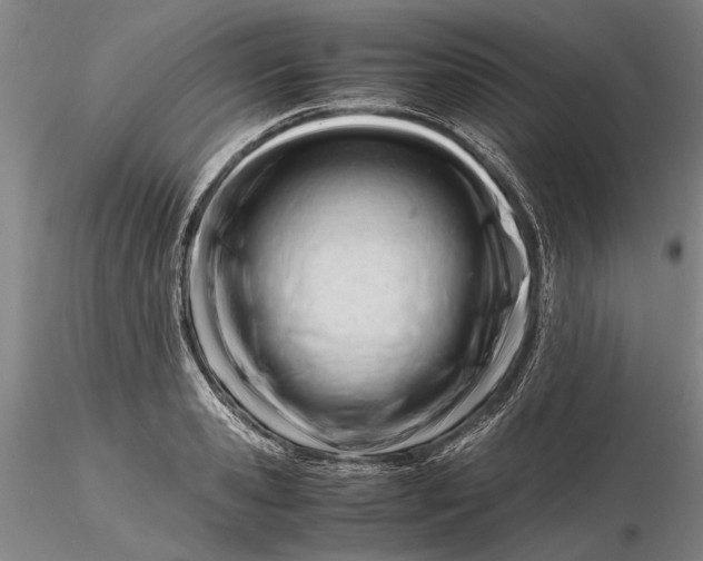 X0000116260941200912211733
