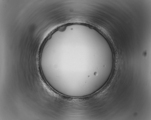X0000116260942200912211733