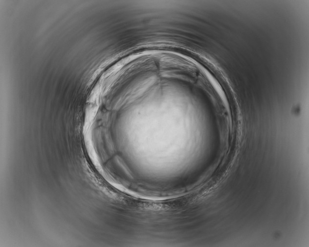 X0000116260945200912211733