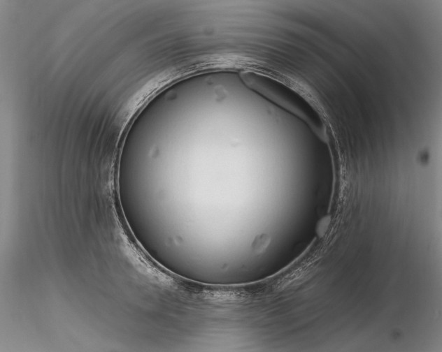 X0000116260946200912211733