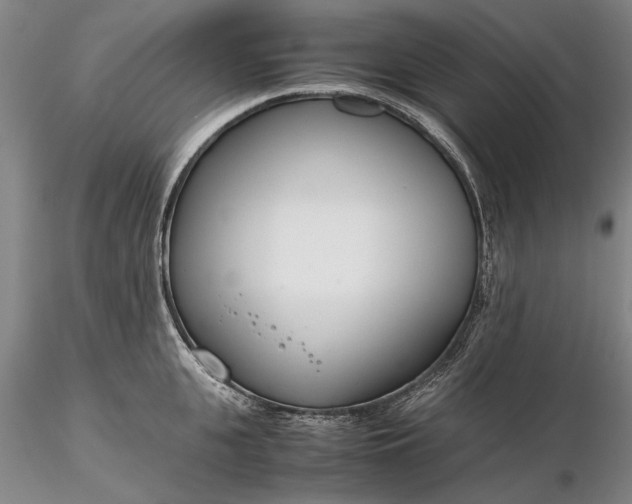 X0000116260951200912211733