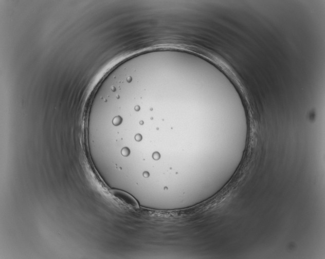 X0000116260955200912211734