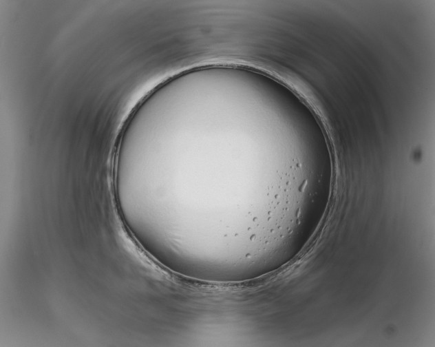 X0000116260958200912211734