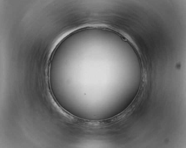 X0000116260959200912211734