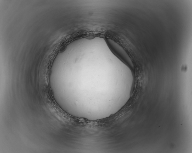 X0000116260961200912211733