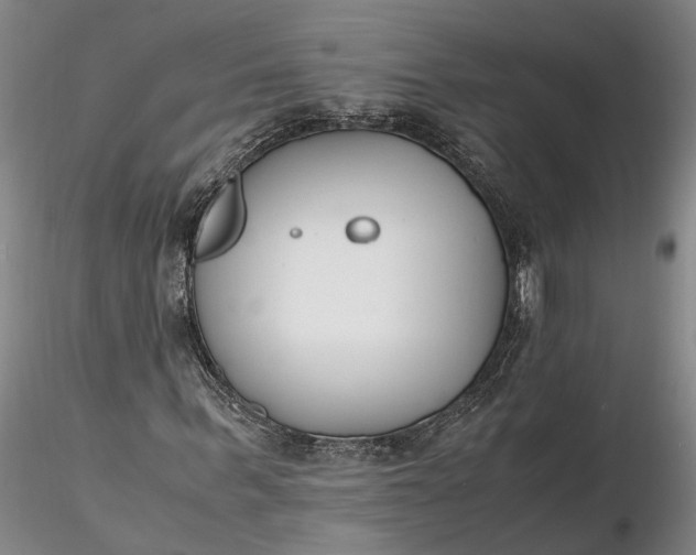 X0000116260963200912211733