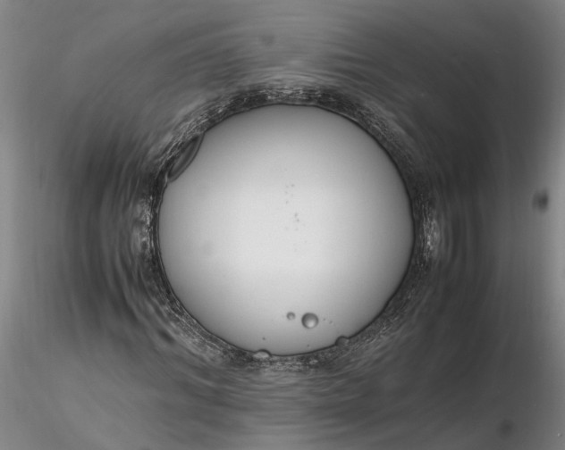 X0000116260964200912211733