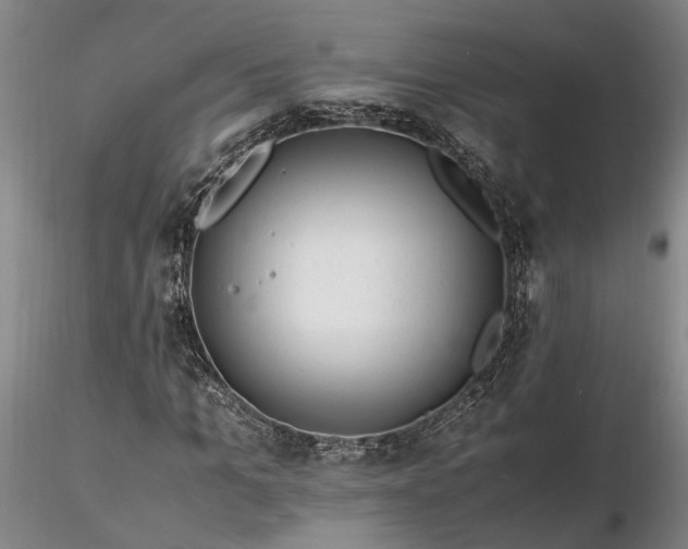 X0000116260965200912211733
