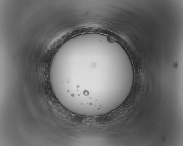 X0000116260967200912211733