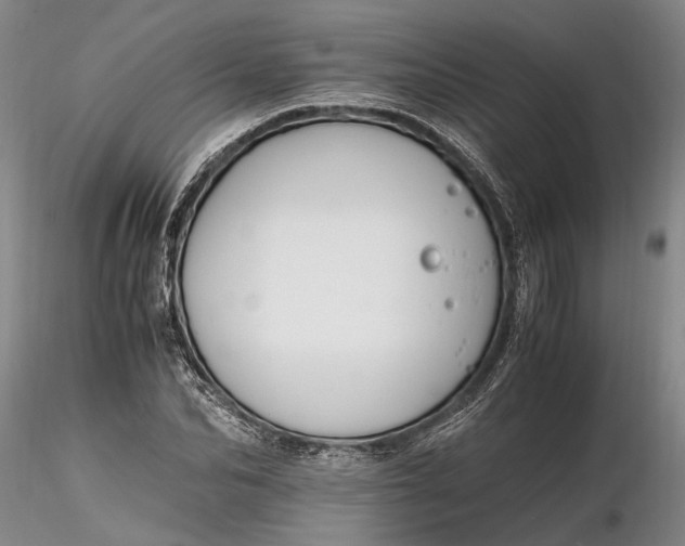 X0000116260974200912211733