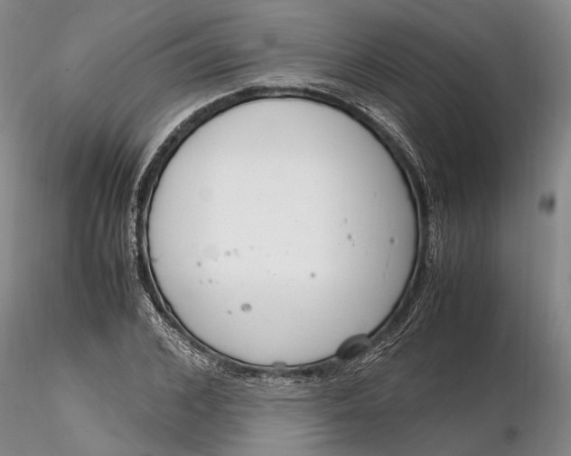 X0000116260976200912211733