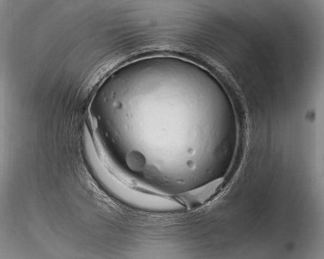 X0000116260977200912211733