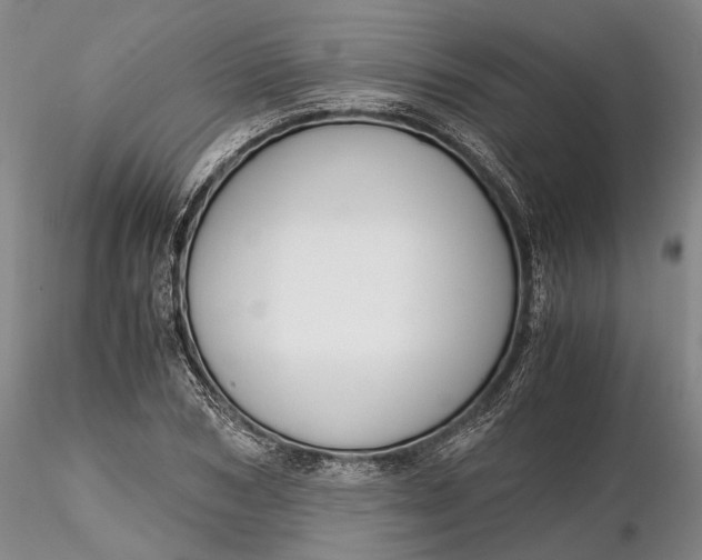 X0000116260978200912211733