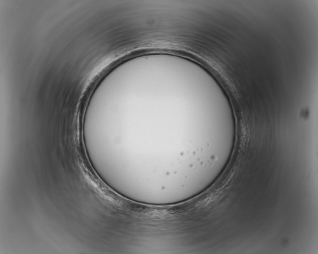 X0000116260982200912211733