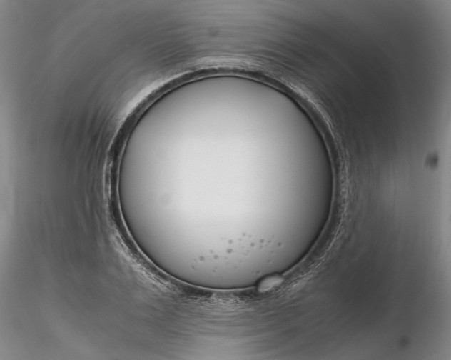 X0000116260983200912211733