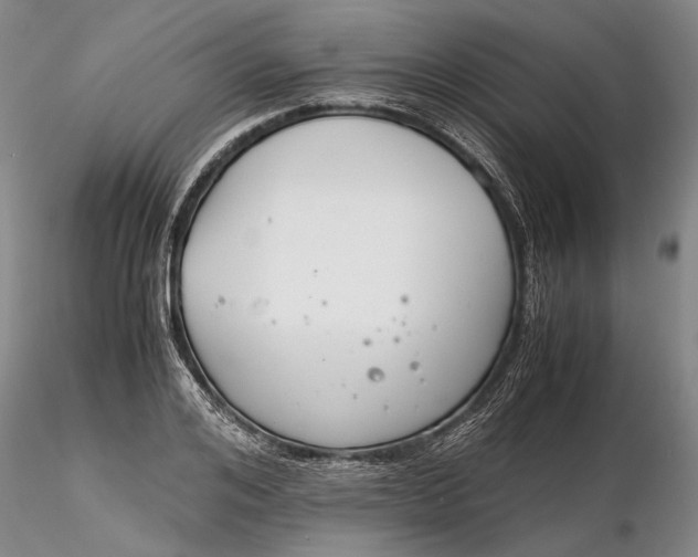 X0000116260984200912211733