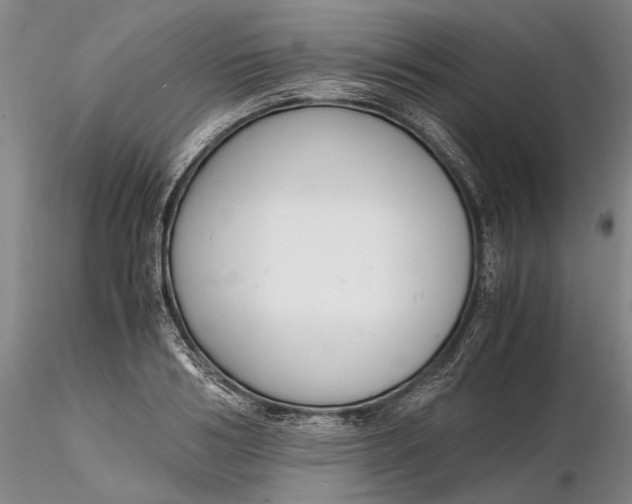 X0000116260986200912211733