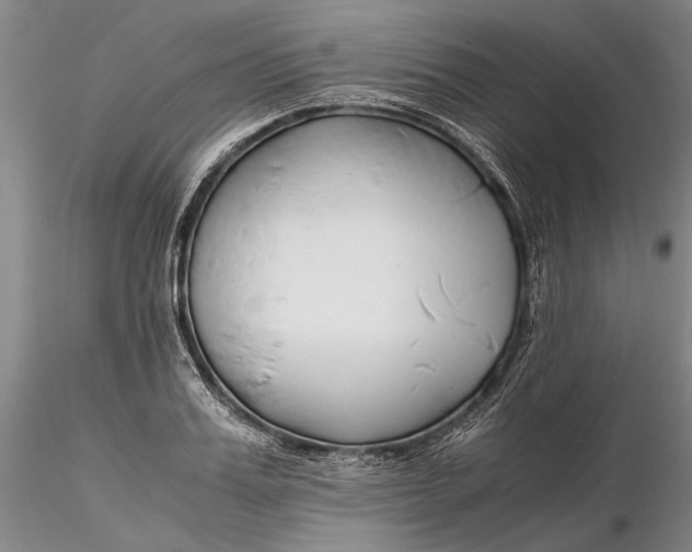 X0000116260987200912211733